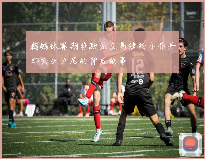 鹈鹕休赛期静默无交易续约小乔丹却失去卢尼的背后故事