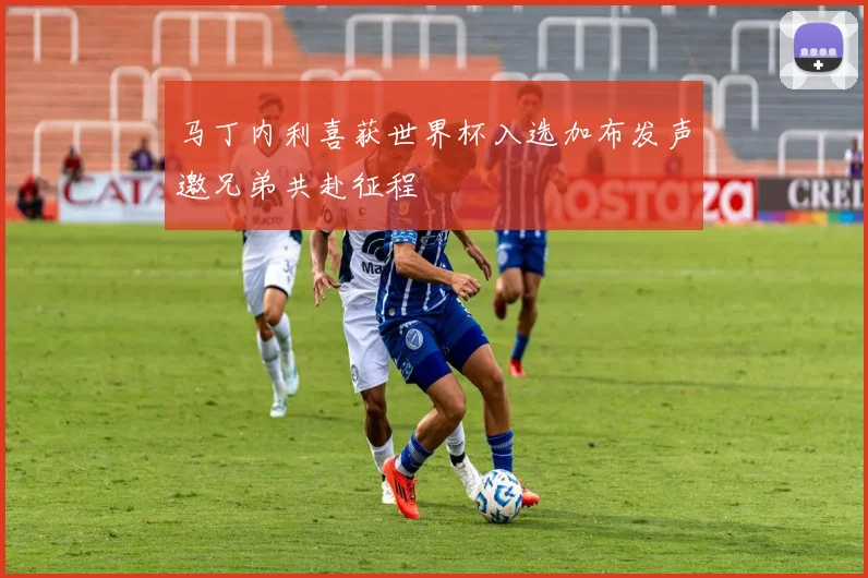 马丁内利喜获世界杯入选加布发声邀兄弟共赴征程