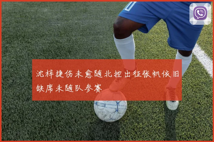 沈梓捷伤未愈随北控出征张帆依旧缺席未随队参赛